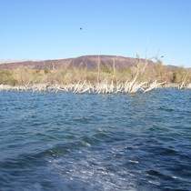 100_0158.JPG