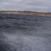 100_0349.JPG