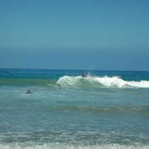 DSCN0733.JPG