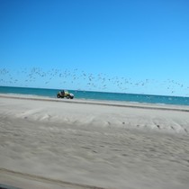 DSCN1846.JPG